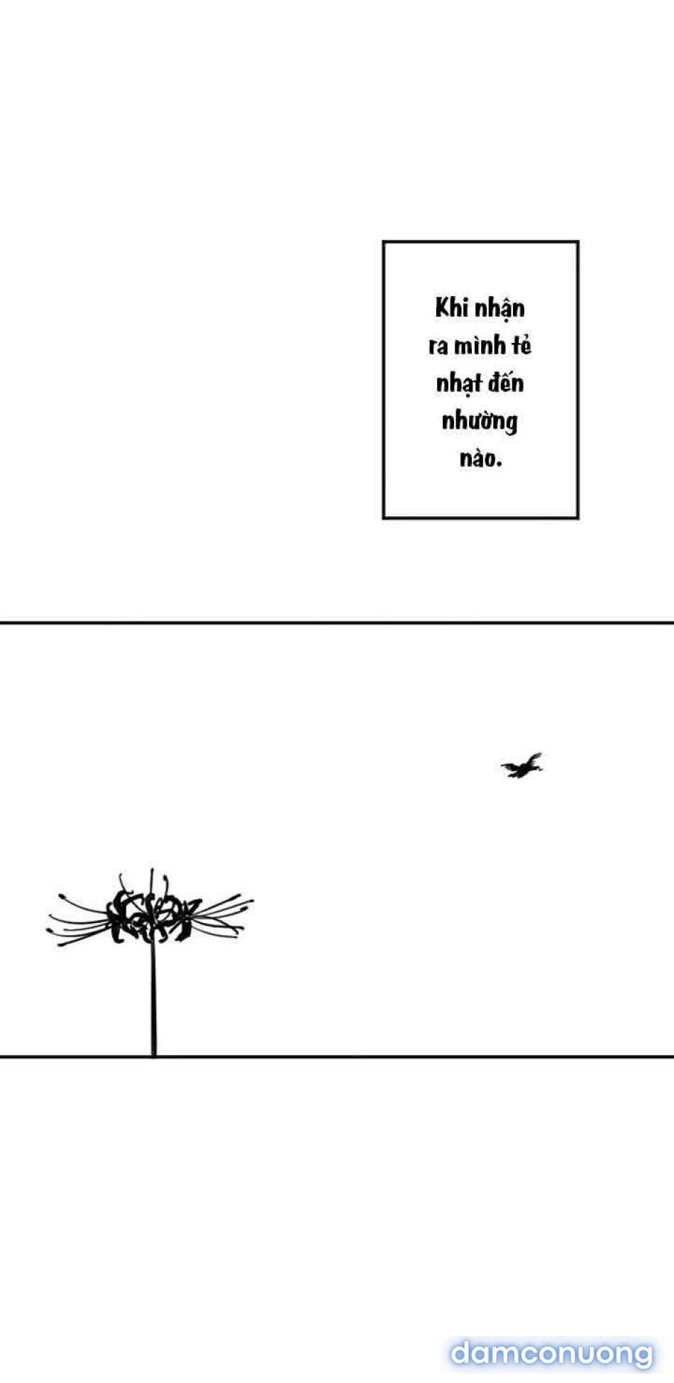 Manitto 