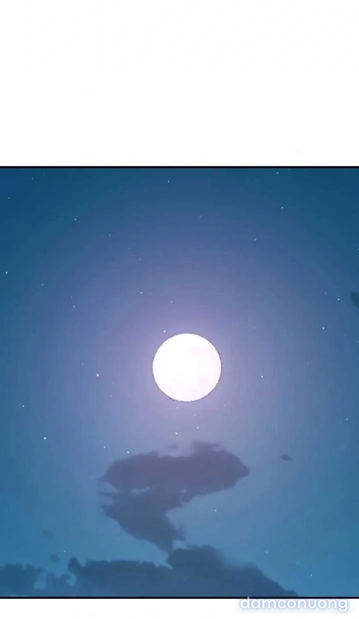 Manitto 