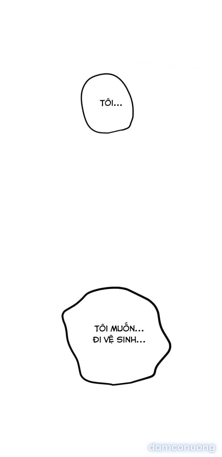 Manitto 