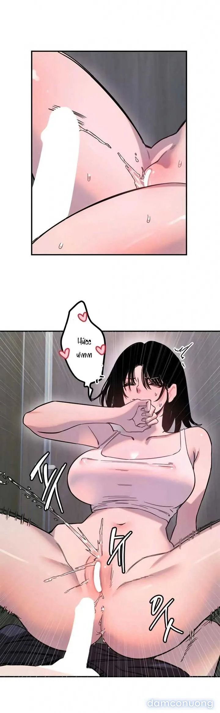 Manitto 