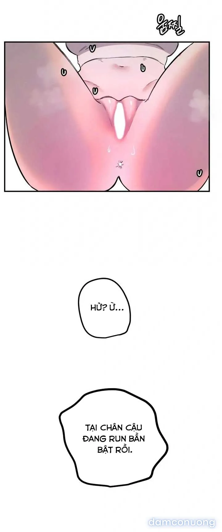 Manitto 