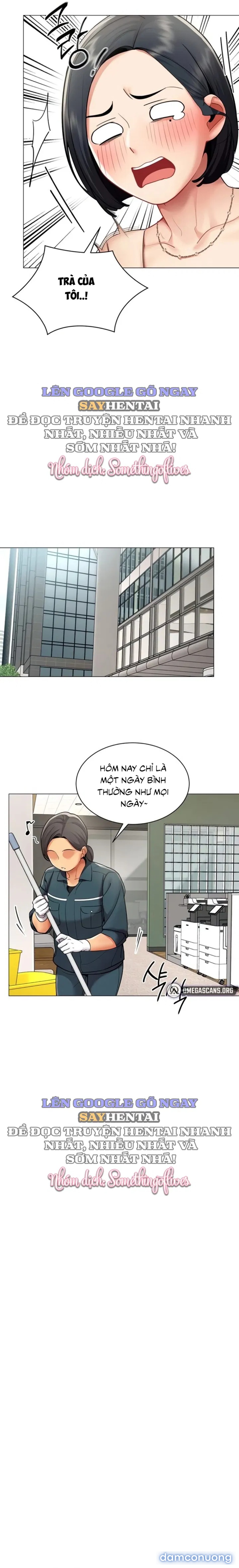 Báo Cáo Hiệu Suất (Tình Dục) 