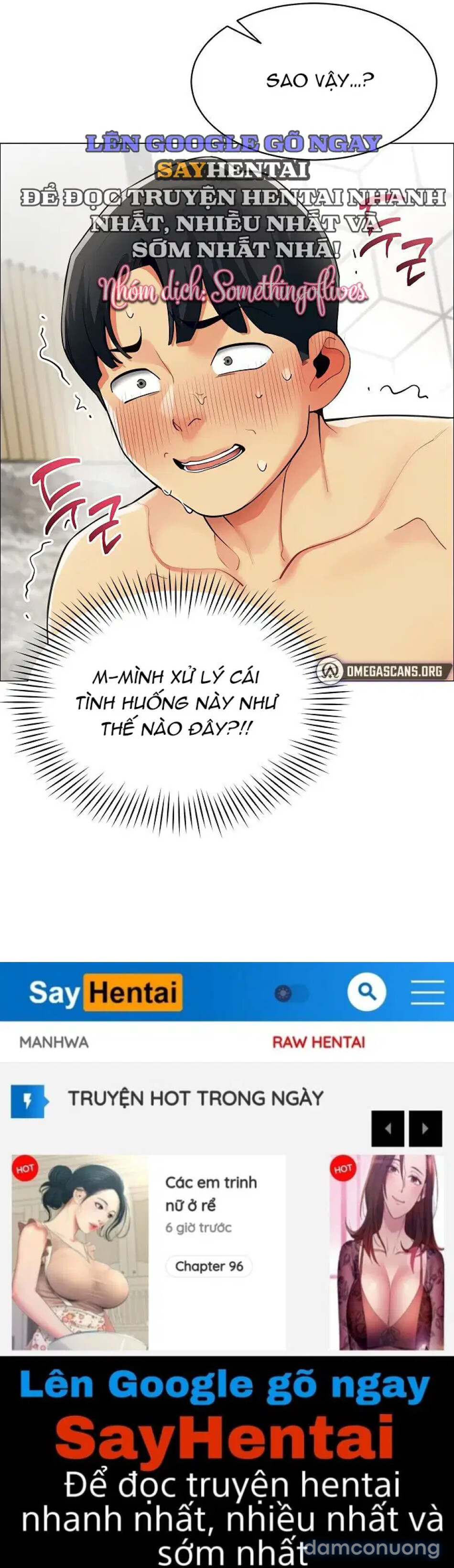 Báo Cáo Hiệu Suất (Tình Dục) 