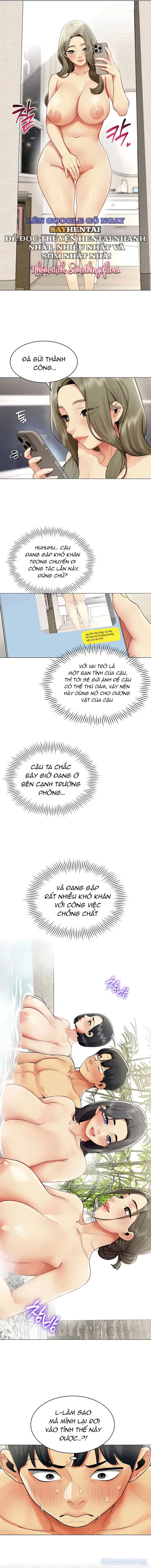 Báo Cáo Hiệu Suất (Tình Dục) 
