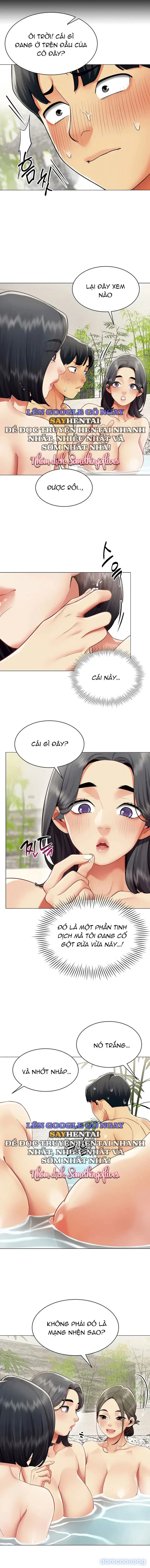 Báo Cáo Hiệu Suất (Tình Dục) 