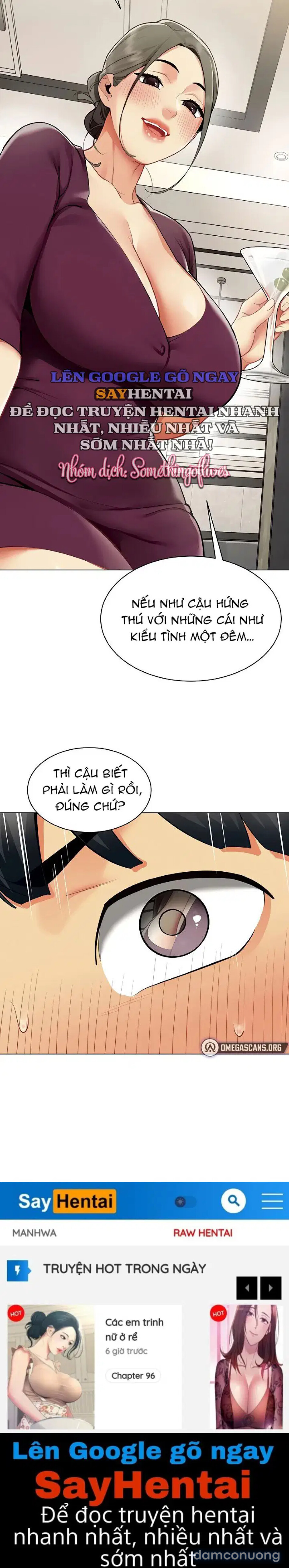 Báo Cáo Hiệu Suất (Tình Dục) 