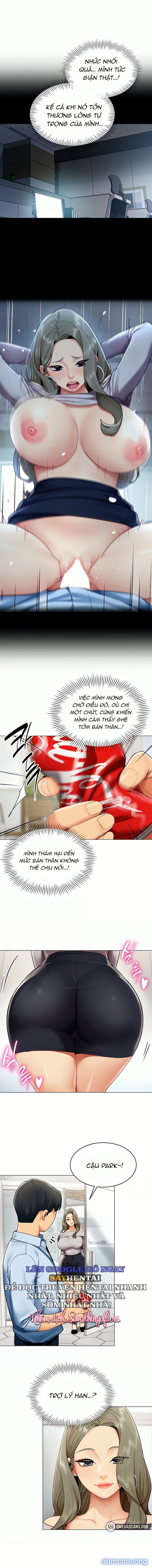 Báo Cáo Hiệu Suất (Tình Dục) 