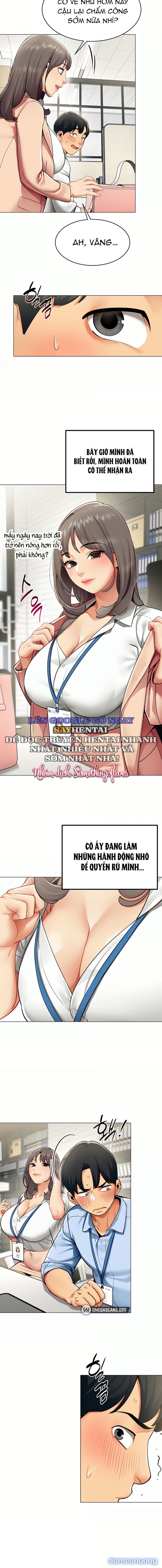 Báo Cáo Hiệu Suất (Tình Dục) 