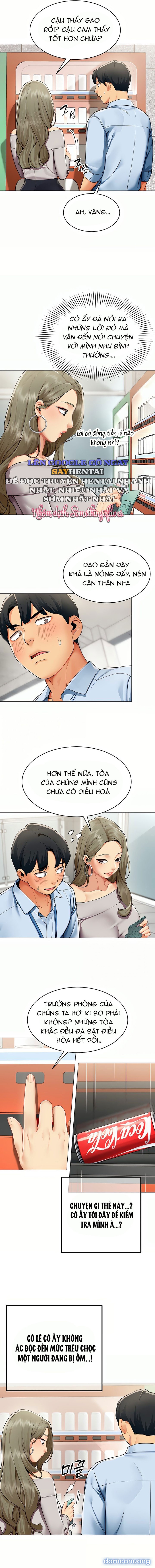 Báo Cáo Hiệu Suất (Tình Dục) 