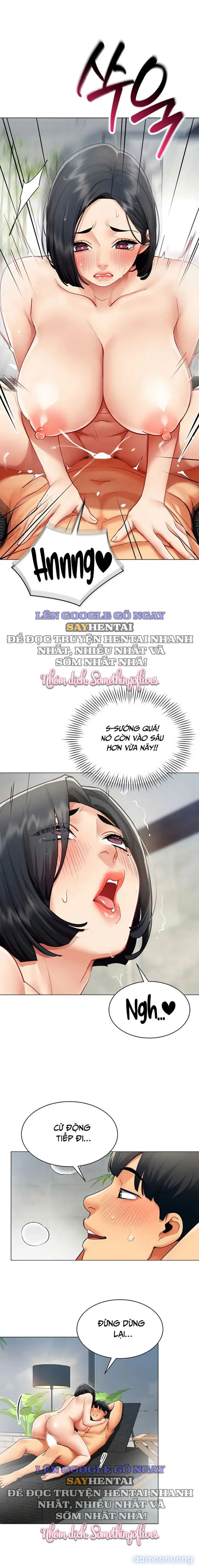 Báo Cáo Hiệu Suất (Tình Dục) 
