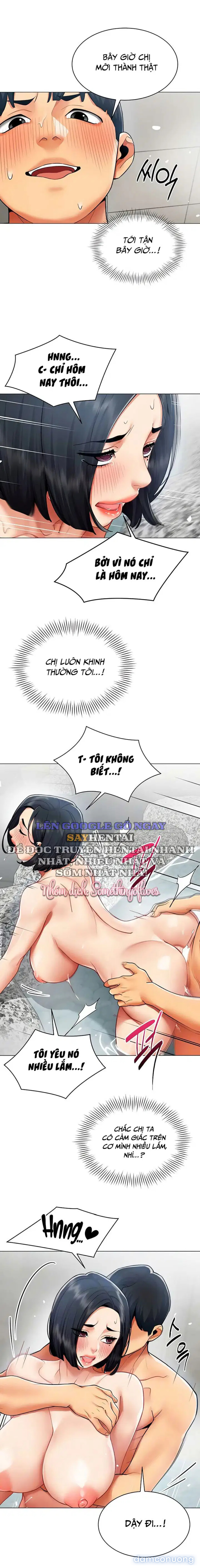Báo Cáo Hiệu Suất (Tình Dục) 