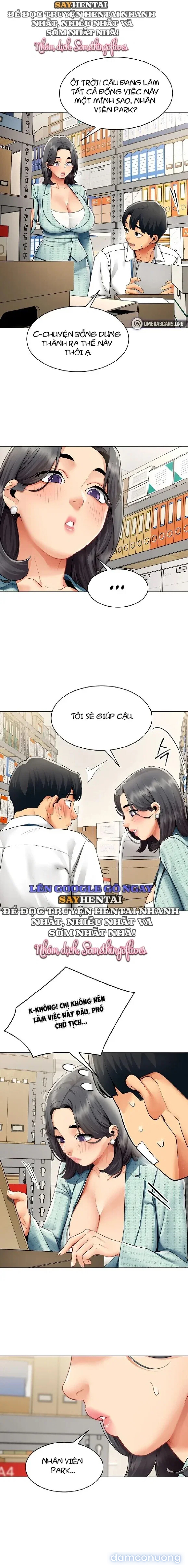 Báo Cáo Hiệu Suất (Tình Dục) 