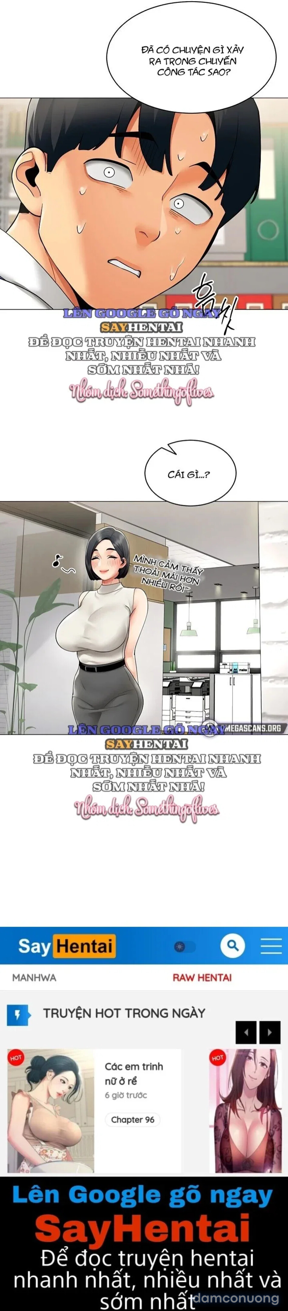 Báo Cáo Hiệu Suất (Tình Dục) 