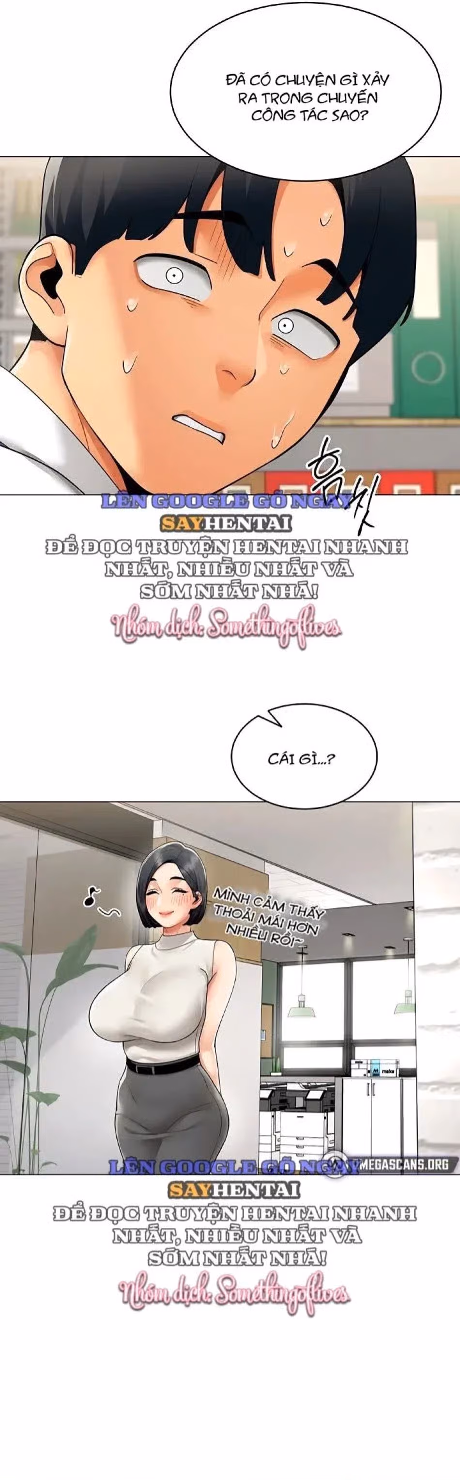 Báo Cáo Hiệu Suất (Tình Dục) 