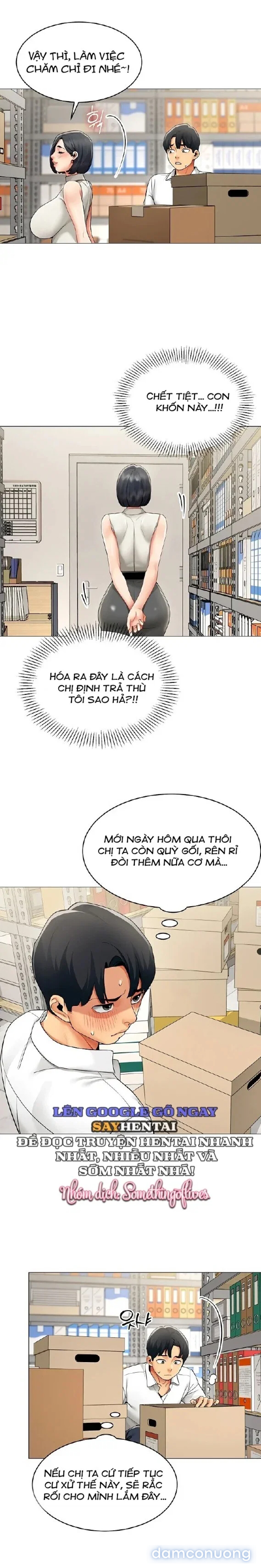Báo Cáo Hiệu Suất (Tình Dục) 