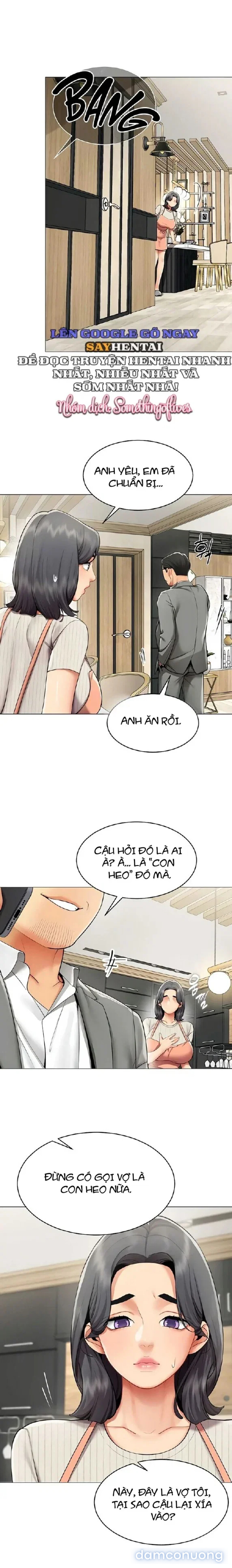 Báo Cáo Hiệu Suất (Tình Dục) 