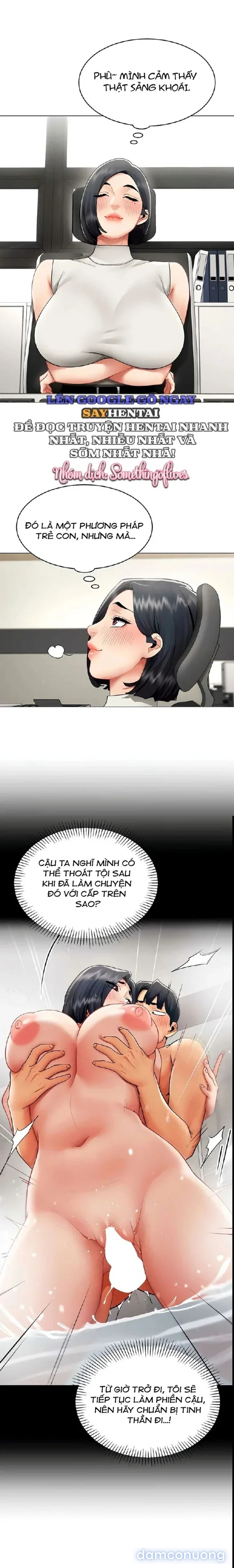 Báo Cáo Hiệu Suất (Tình Dục) 