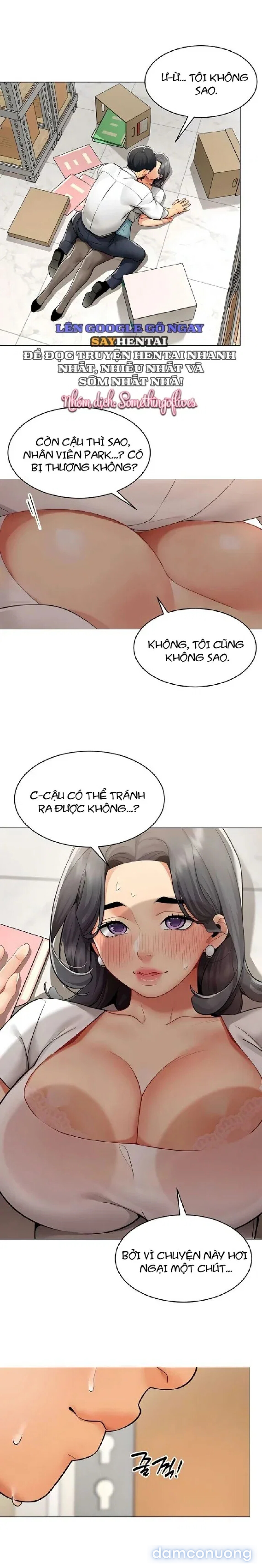 Báo Cáo Hiệu Suất (Tình Dục) 