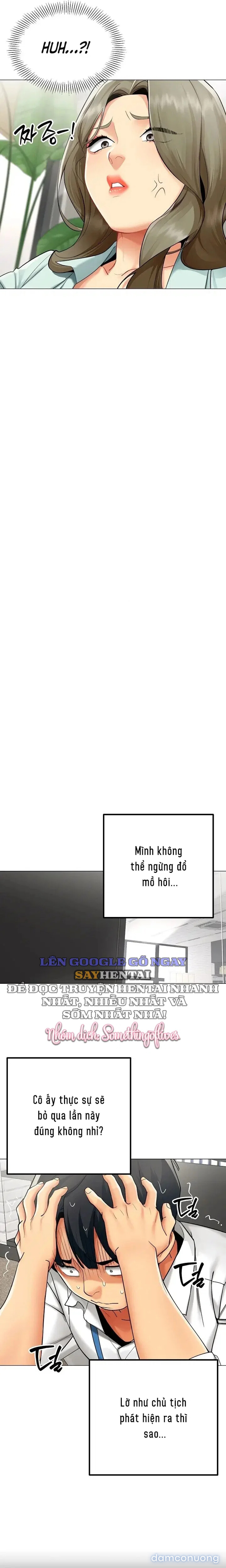 Báo Cáo Hiệu Suất (Tình Dục) 