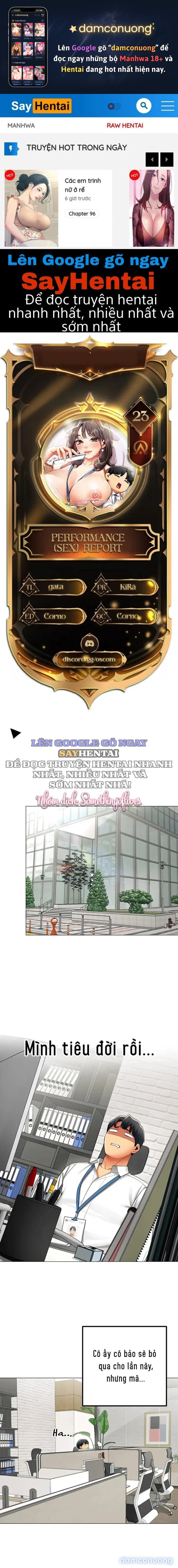 Báo Cáo Hiệu Suất (Tình Dục) 