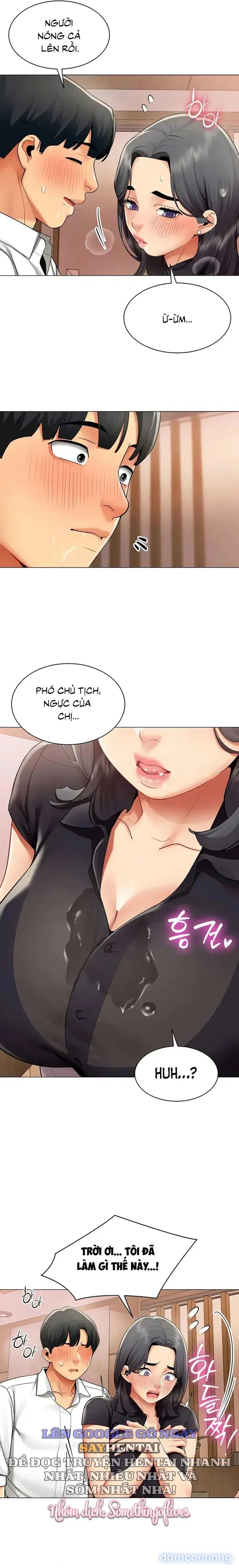 Báo Cáo Hiệu Suất (Tình Dục) 