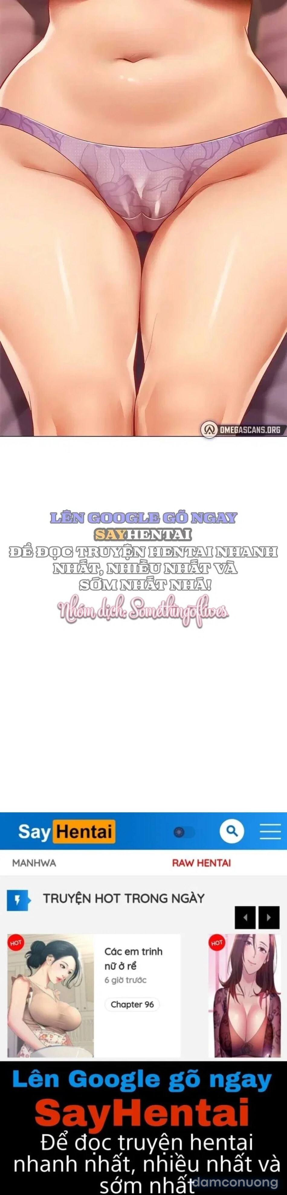 Báo Cáo Hiệu Suất (Tình Dục) 