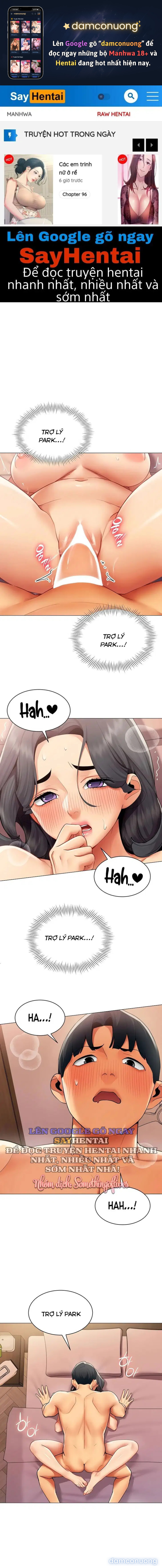 Báo Cáo Hiệu Suất (Tình Dục) 