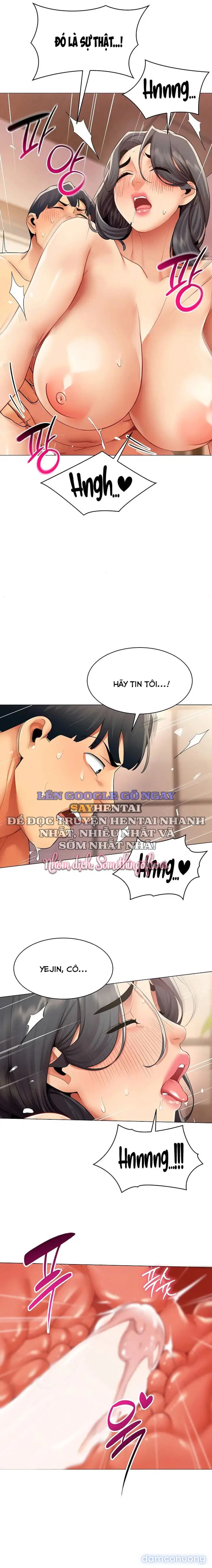 Báo Cáo Hiệu Suất (Tình Dục) 