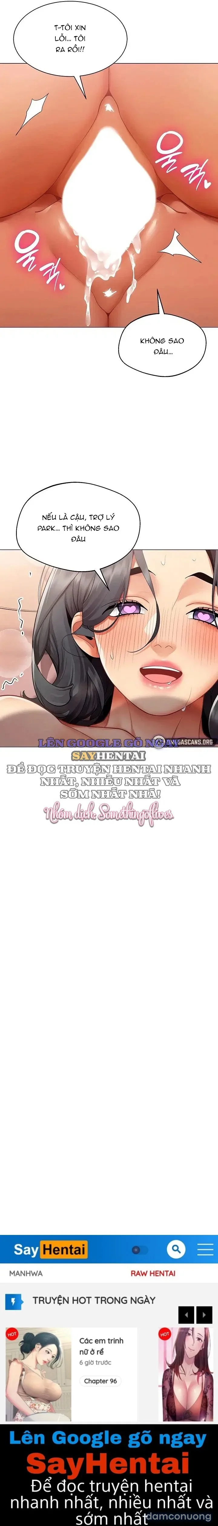 Báo Cáo Hiệu Suất (Tình Dục) 