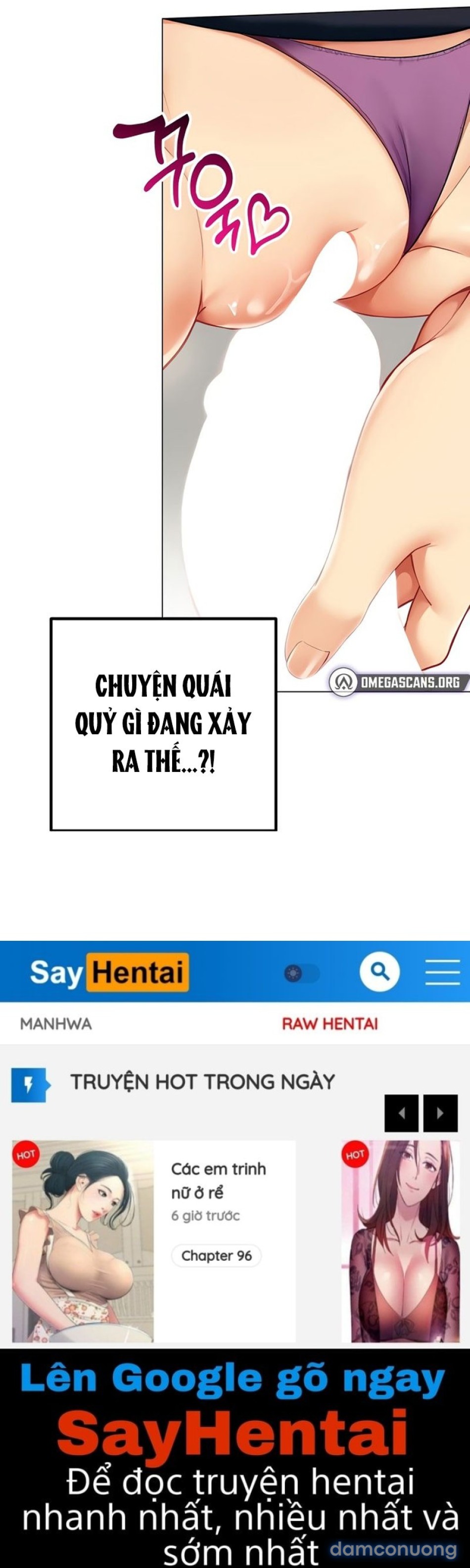 Báo Cáo Hiệu Suất (Tình Dục) 