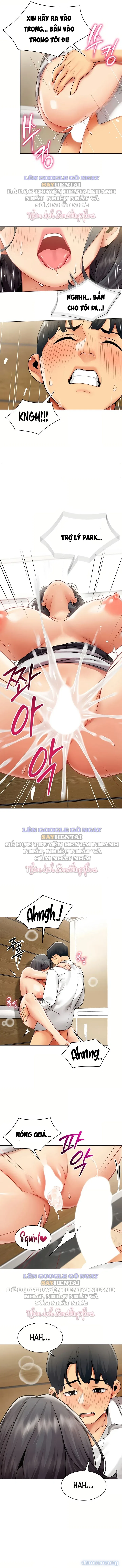 Báo Cáo Hiệu Suất (Tình Dục) 