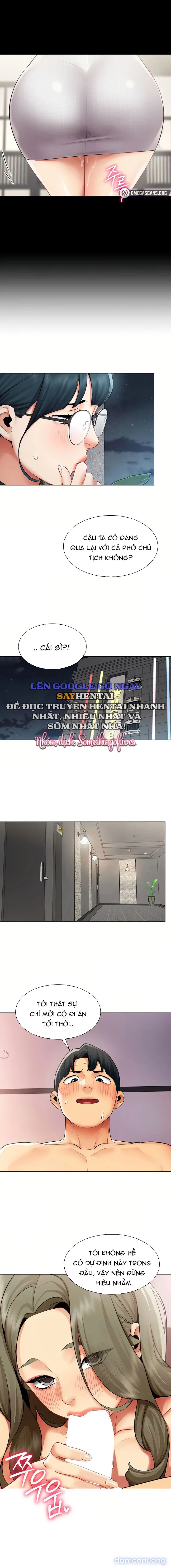 Báo Cáo Hiệu Suất (Tình Dục) 
