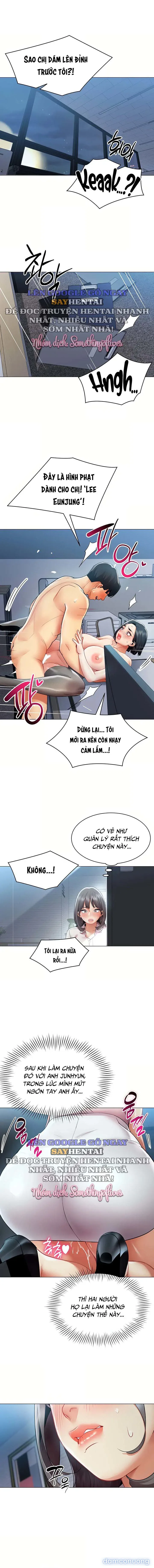 Báo Cáo Hiệu Suất (Tình Dục) 