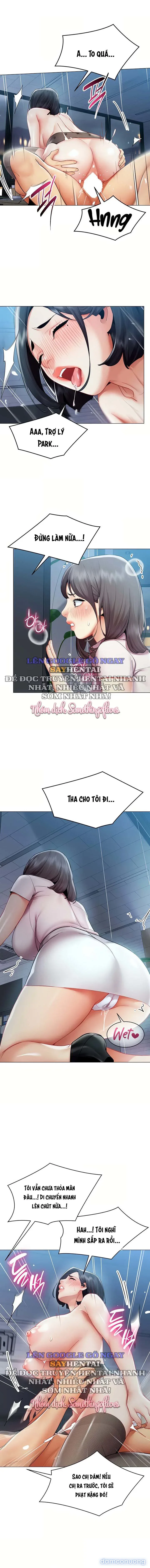Báo Cáo Hiệu Suất (Tình Dục) 