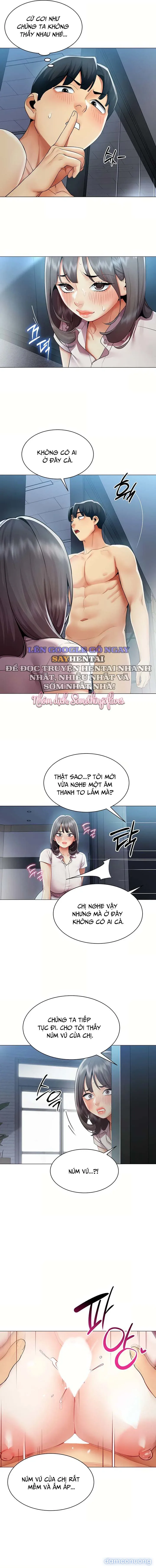 Báo Cáo Hiệu Suất (Tình Dục) 