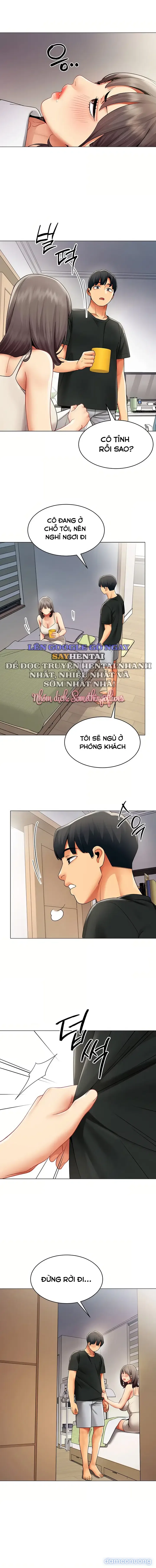 Báo Cáo Hiệu Suất (Tình Dục) 