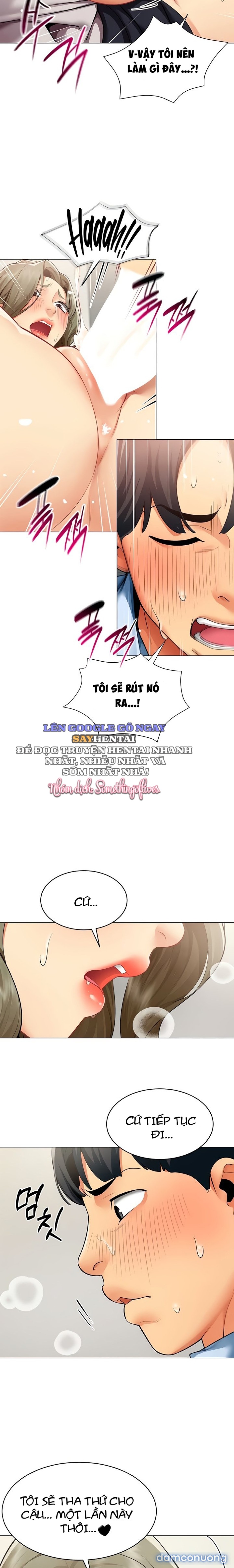 Báo Cáo Hiệu Suất (Tình Dục) 