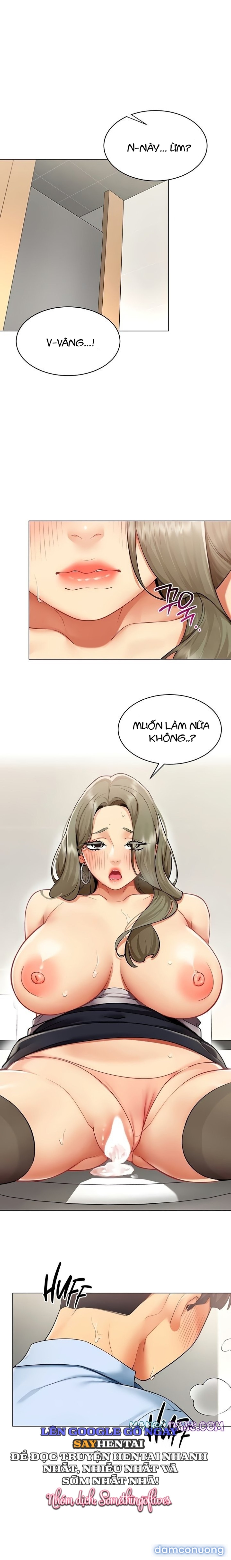 Báo Cáo Hiệu Suất (Tình Dục) 