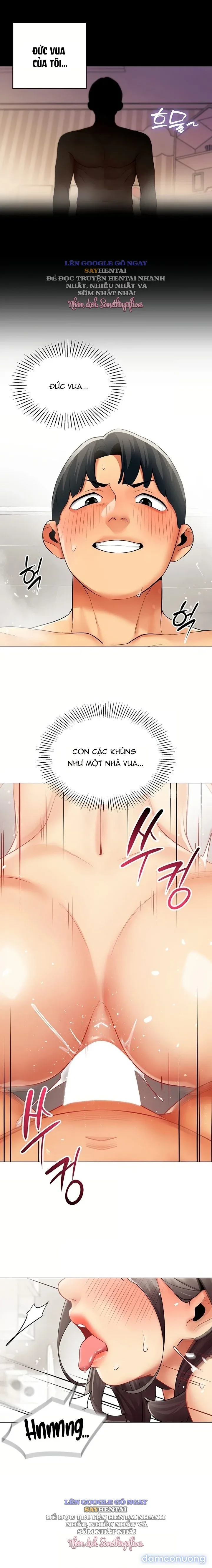 Báo Cáo Hiệu Suất (Tình Dục) 