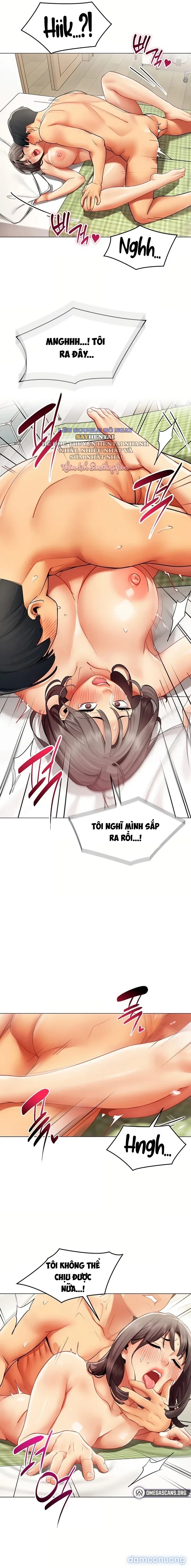 Báo Cáo Hiệu Suất (Tình Dục) 