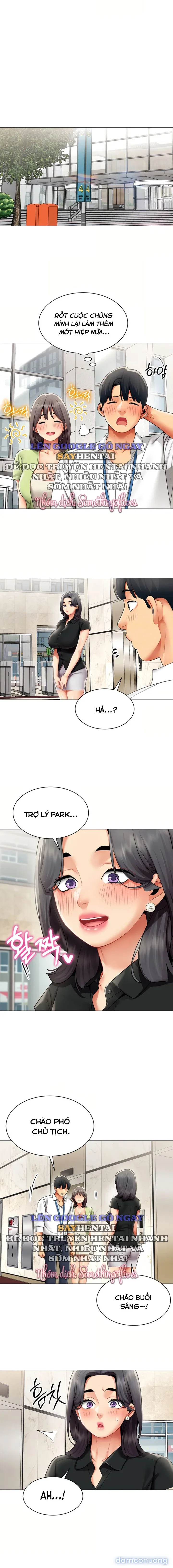 Báo Cáo Hiệu Suất (Tình Dục) 