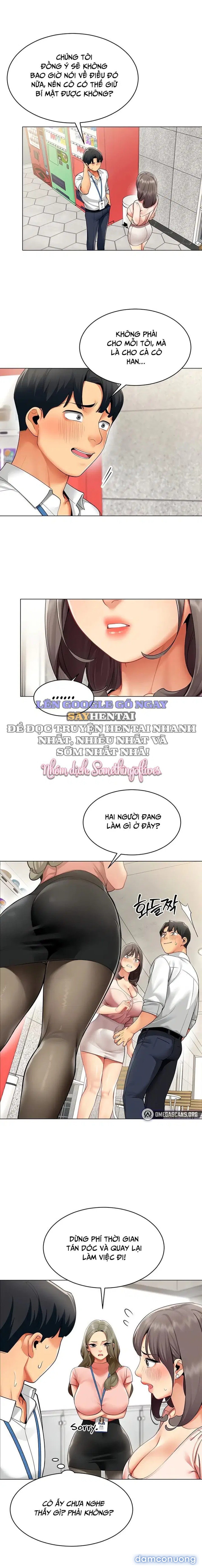 Báo Cáo Hiệu Suất (Tình Dục) 