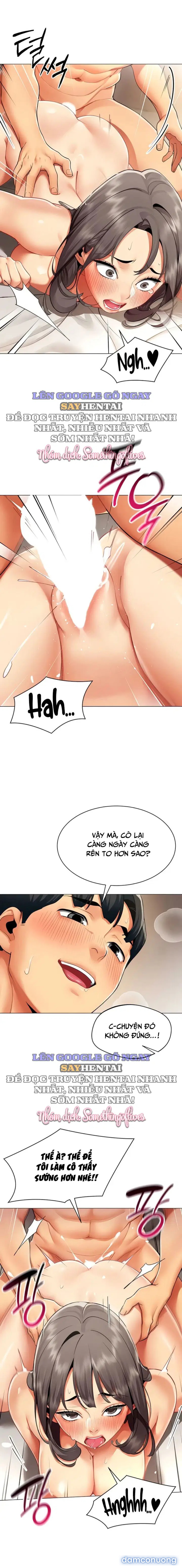 Báo Cáo Hiệu Suất (Tình Dục) 