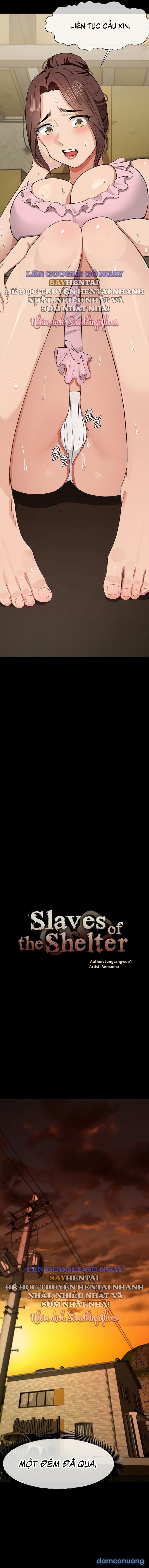 Nô lệ nơi trú ẩn 