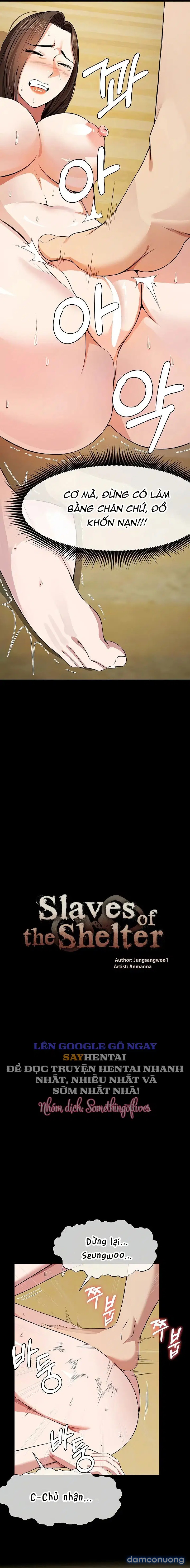 Nô lệ Hầm trú ẩn 