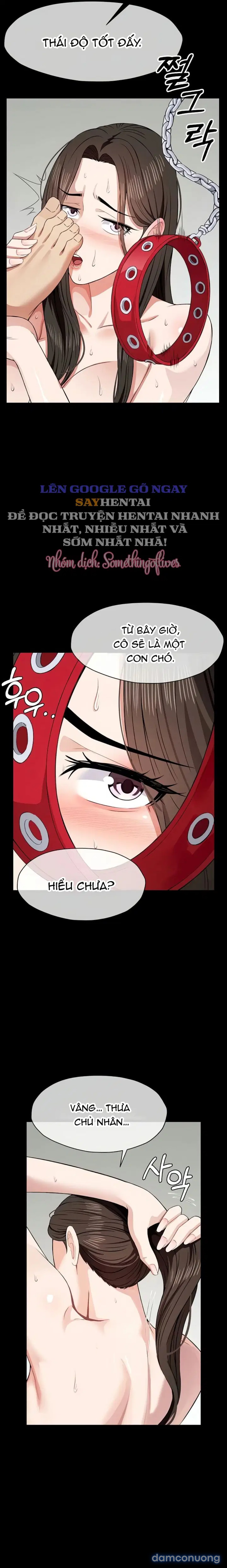 Nô lệ Hầm trú ẩn 