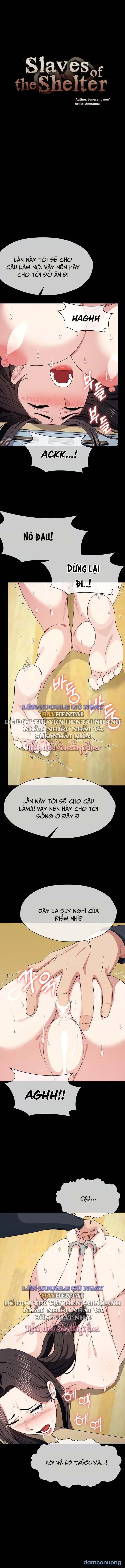 Nô lệ Hầm trú ẩn 