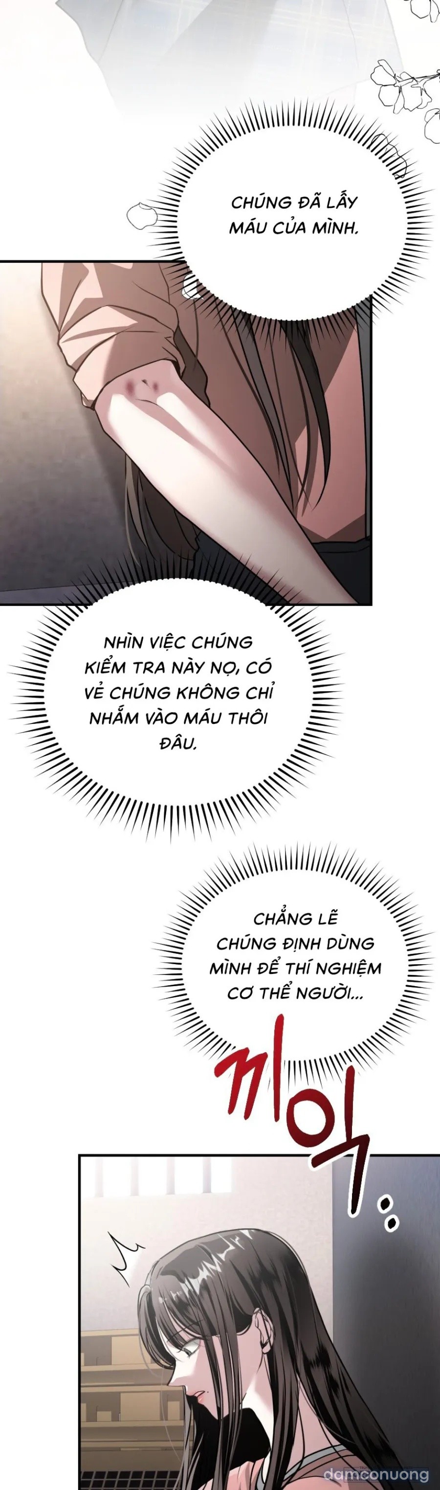 Chó Hoang Mơ Giấc Mơ Săn Mồi 