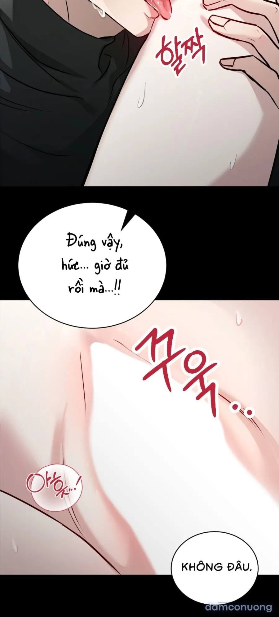 Chó Hoang Mơ Giấc Mơ Săn Mồi 