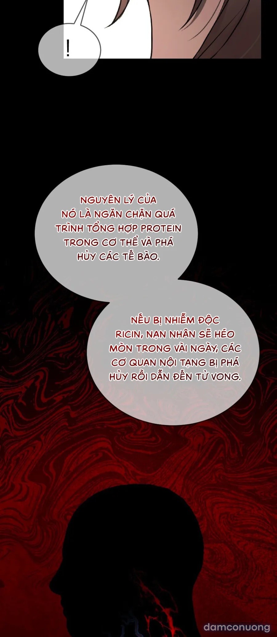 Chó Hoang Mơ Giấc Mơ Săn Mồi 